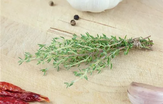 Orangen-Thymian Orangen-Thymian