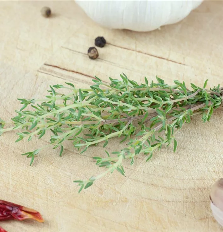 Orangen-Thymian Orangen-Thymian