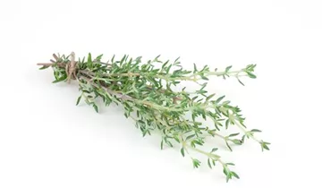 Zum Vergrößern klicken Bildvorschau