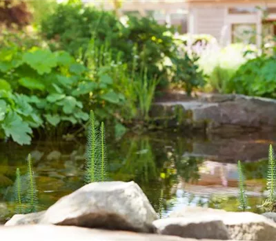 Findlinge im Garten - Sitzgelegenheit, Wasserfall oder Dekoelement Findlinge im Garten - Sitzgelegenheit, Wasserfall oder Dekoelement
