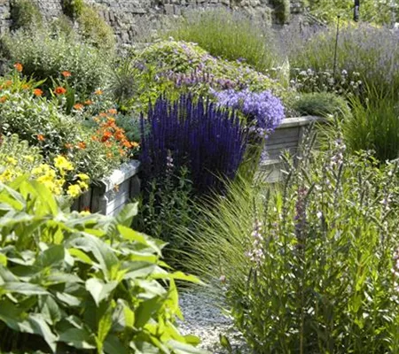 Das Staudenbeet – ein Blütenmeer im Garten Das Staudenbeet – ein Blütenmeer im Garten