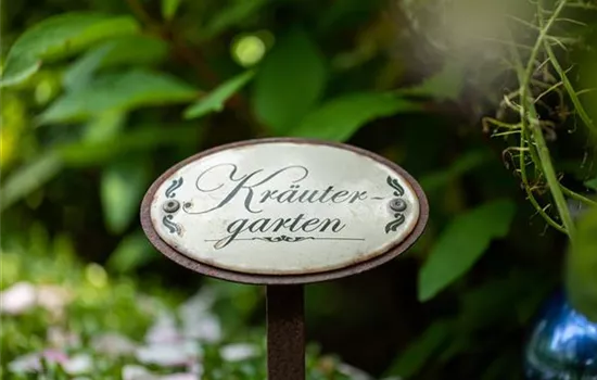 Ernte ohne Garten - Im duftenden Kräutergarten auf dem Balkon